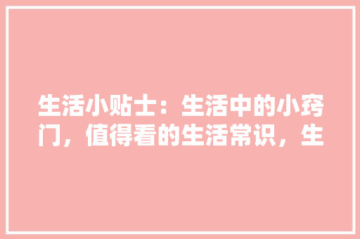 品味经典，探索家居之美——从一品墙体装修图片欣赏中感受艺术与生活的交融