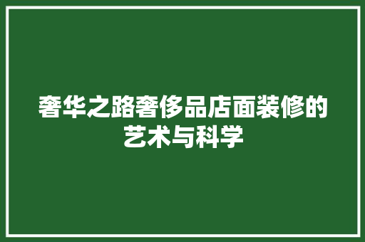 奢华之路奢侈品店面装修的艺术与科学