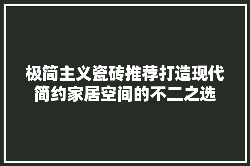 极简主义瓷砖推荐打造现代简约家居空间的不二之选