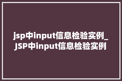 jsp中input信息检验实例_JSP中input信息检验实例实战与方法分享