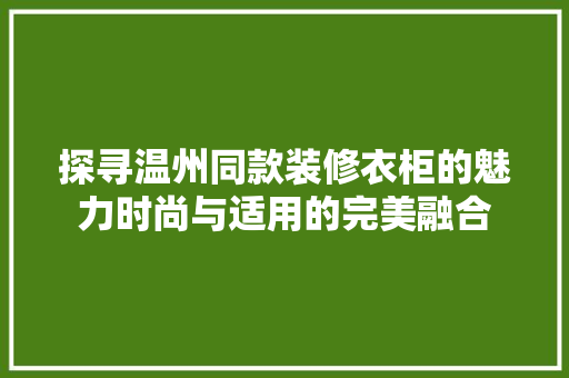探寻温州同款装修衣柜的魅力时尚与适用的完美融合