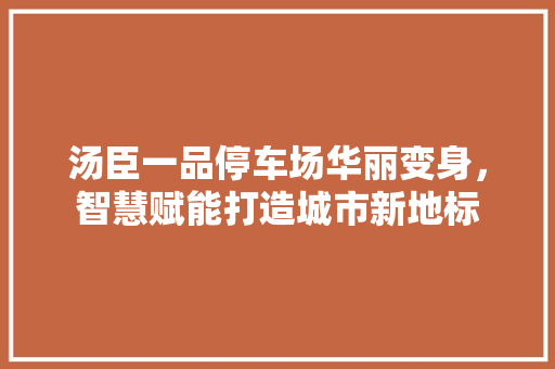 汤臣一品停车场华丽变身，智慧赋能打造城市新地标