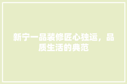 新宁一品装修匠心独运，品质生活的典范