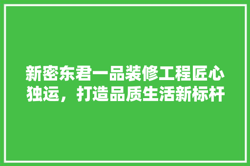 新密东君一品装修工程匠心独运，打造品质生活新标杆