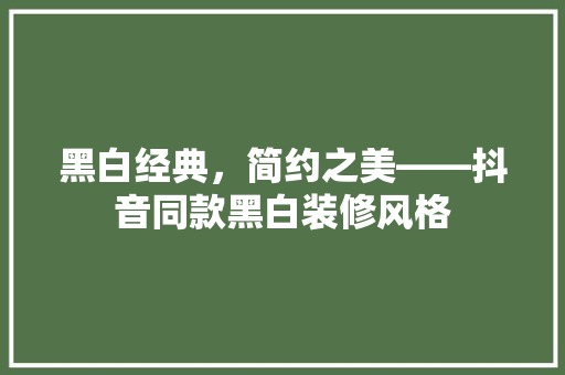 黑白经典，简约之美——抖音同款黑白装修风格