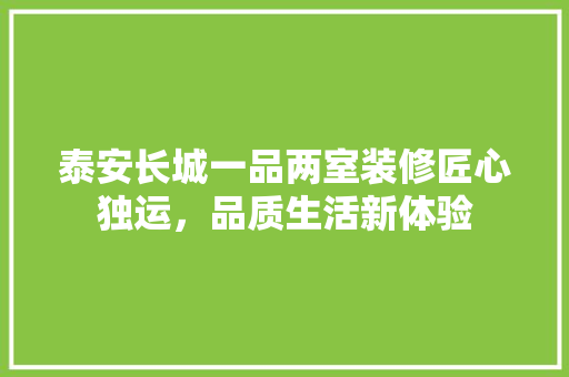 泰安长城一品两室装修匠心独运，品质生活新体验