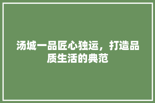 汤城一品匠心独运，打造品质生活的典范