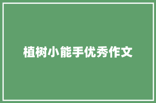 装修必备清单打造理想家居生活的必需品盘点