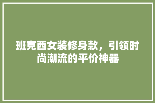 班克西女装修身款，引领时尚潮流的平价神器