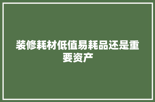 装修耗材低值易耗品还是重要资产