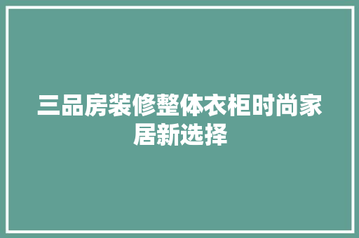 三品房装修整体衣柜时尚家居新选择