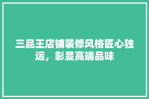 三品王店铺装修风格匠心独运，彰显高端品味