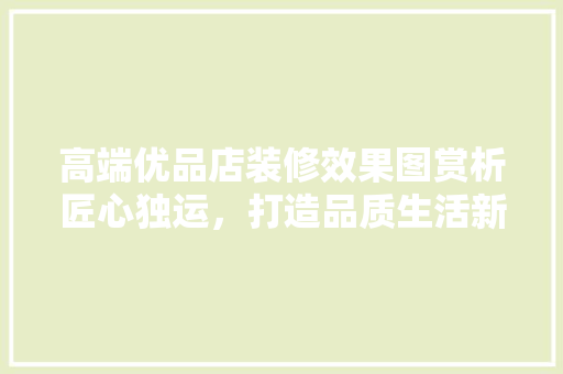 高端优品店装修效果图赏析匠心独运，打造品质生活新地标