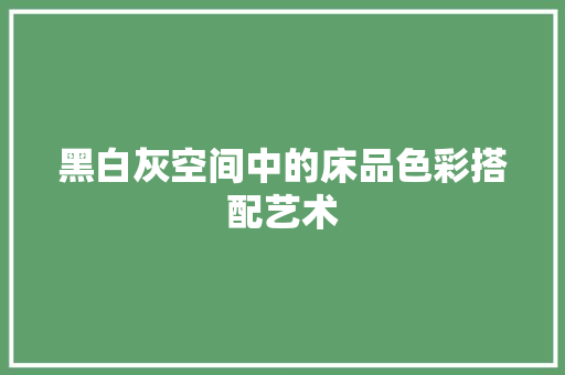 黑白灰空间中的床品色彩搭配艺术
