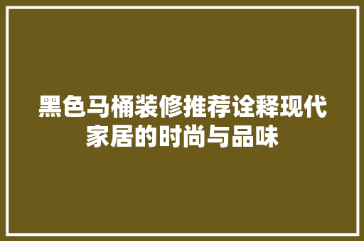 黑色马桶装修推荐诠释现代家居的时尚与品味