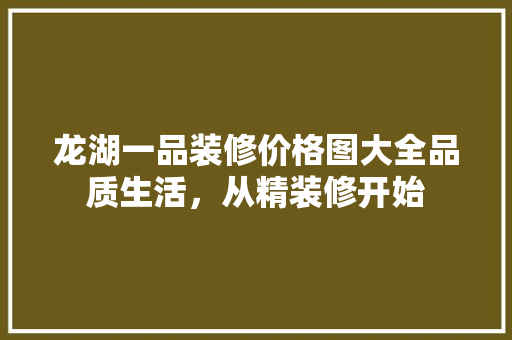 龙湖一品装修价格图大全品质生活，从精装修开始