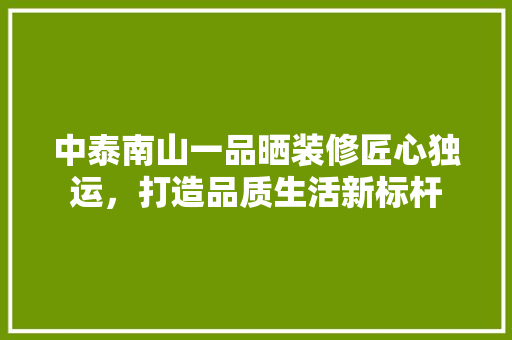 中泰南山一品晒装修匠心独运，打造品质生活新标杆