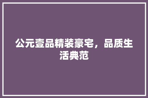 公元壹品精装豪宅，品质生活典范