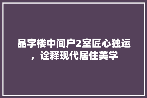 品字楼中间户2室匠心独运，诠释现代居住美学
