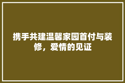 携手共建温馨家园首付与装修，爱情的见证