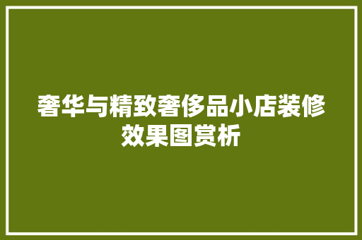 奢华与精致奢侈品小店装修效果图赏析