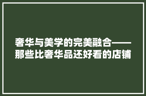 奢华与美学的完美融合——那些比奢华品还好看的店铺装修