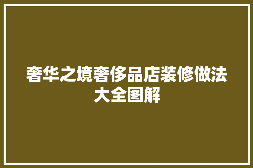 奢华之境奢侈品店装修做法大全图解