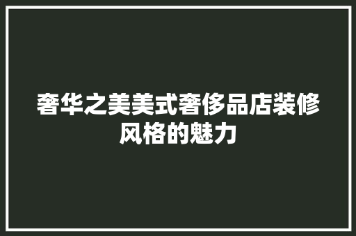 奢华之美美式奢侈品店装修风格的魅力