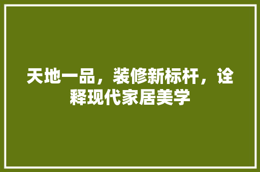 天地一品，装修新标杆，诠释现代家居美学