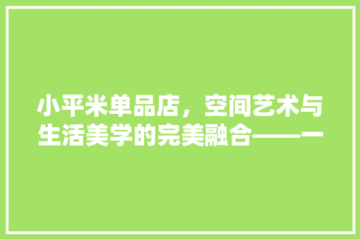 小平米单品店，空间艺术与生活美学的完美融合——一次装修图片