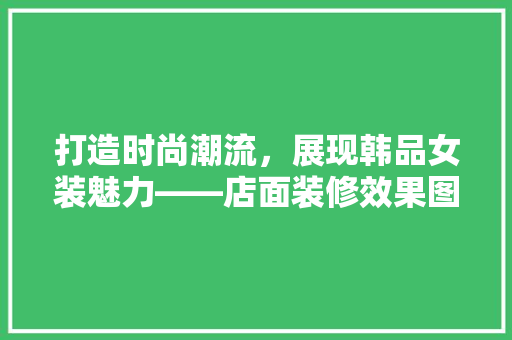 打造时尚潮流，展现韩品女装魅力——店面装修效果图赏析