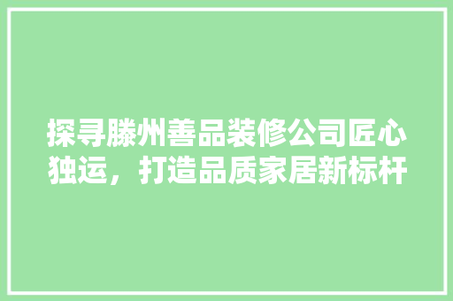 探寻滕州善品装修公司匠心独运，打造品质家居新标杆
