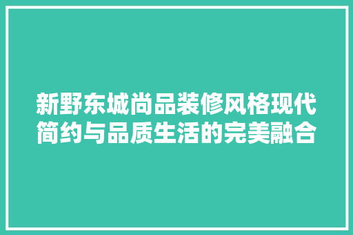 新野东城尚品装修风格现代简约与品质生活的完美融合