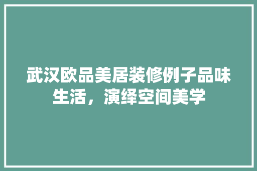 武汉欧品美居装修例子品味生活，演绎空间美学