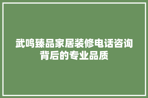 武鸣臻品家居装修电话咨询背后的专业品质