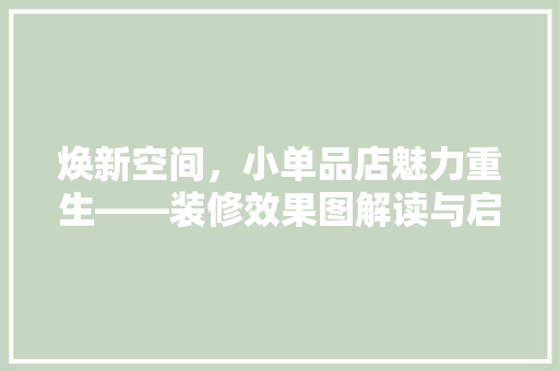 焕新空间，小单品店魅力重生——装修效果图解读与启示
