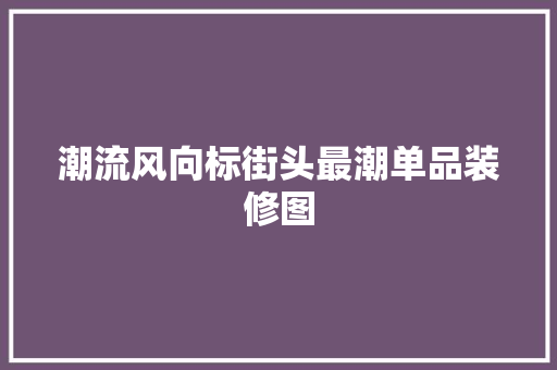 潮流风向标街头最潮单品装修图