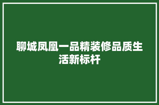 聊城凤凰一品精装修品质生活新标杆