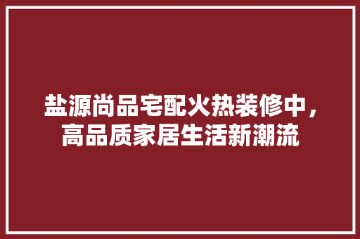 盐源尚品宅配火热装修中，高品质家居生活新潮流