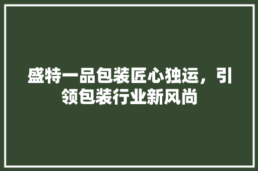 盛特一品包装匠心独运，引领包装行业新风尚