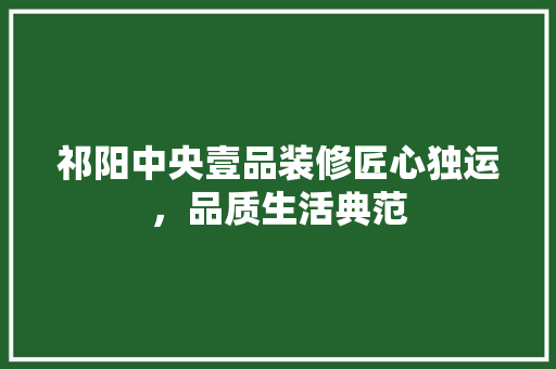 祁阳中央壹品装修匠心独运，品质生活典范