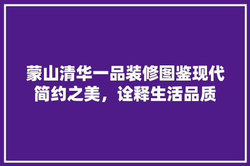蒙山清华一品装修图鉴现代简约之美，诠释生活品质