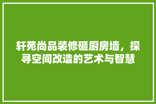 轩苑尚品装修砸厨房墙，探寻空间改造的艺术与智慧