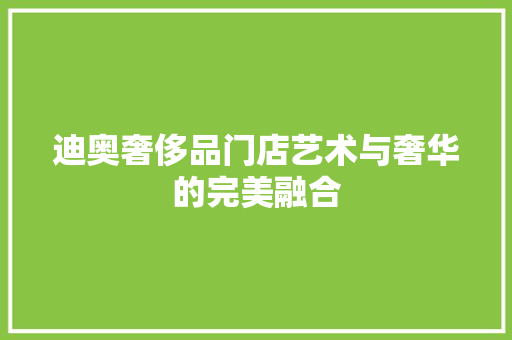 迪奥奢侈品门店艺术与奢华的完美融合