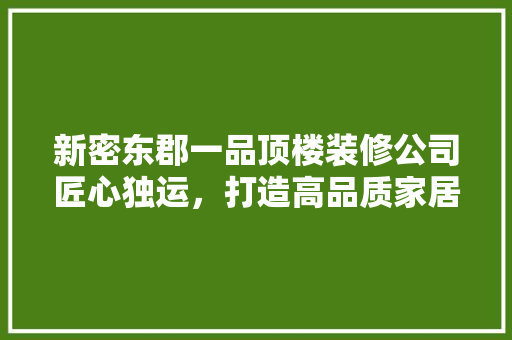 新密东郡一品顶楼装修公司匠心独运，打造高品质家居生活