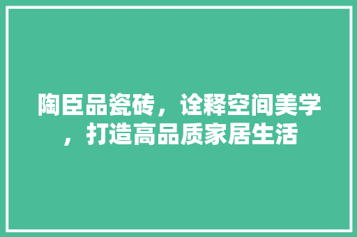陶臣品瓷砖，诠释空间美学，打造高品质家居生活