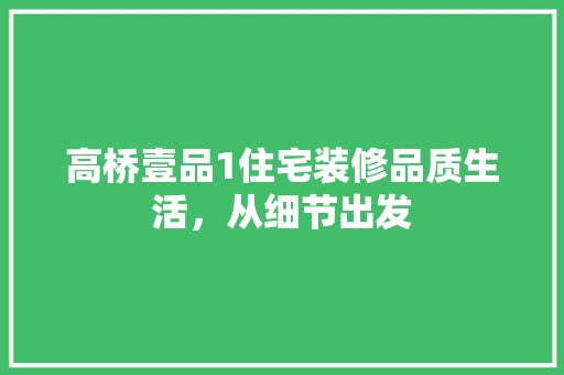 高桥壹品1住宅装修品质生活，从细节出发