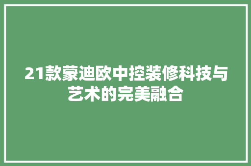 21款蒙迪欧中控装修科技与艺术的完美融合