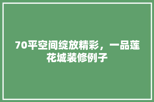 70平空间绽放精彩，一品莲花城装修例子