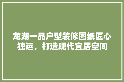 龙湖一品户型装修图纸匠心独运，打造现代宜居空间